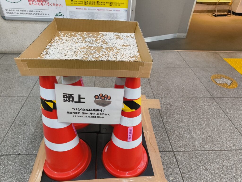 つばめの巣